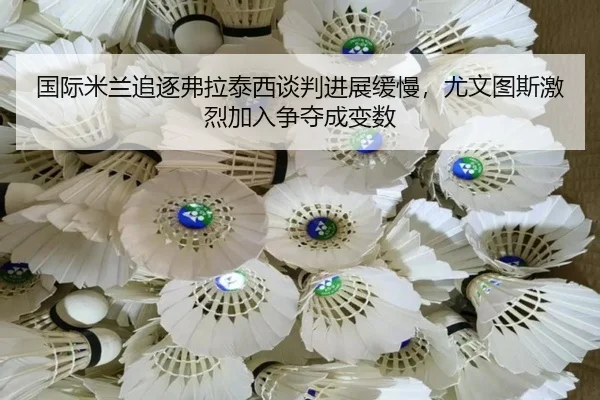 guo-ji-mi-lan-zhui-zhu-fu-la-tai-xi-tan-pan-jin-zhan-huan-man-you-wen-tu-si-ji-lie-jia-ru-zheng-duo-cheng-bian-shu-3-800.jpg