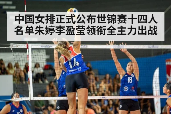 volleyball match action